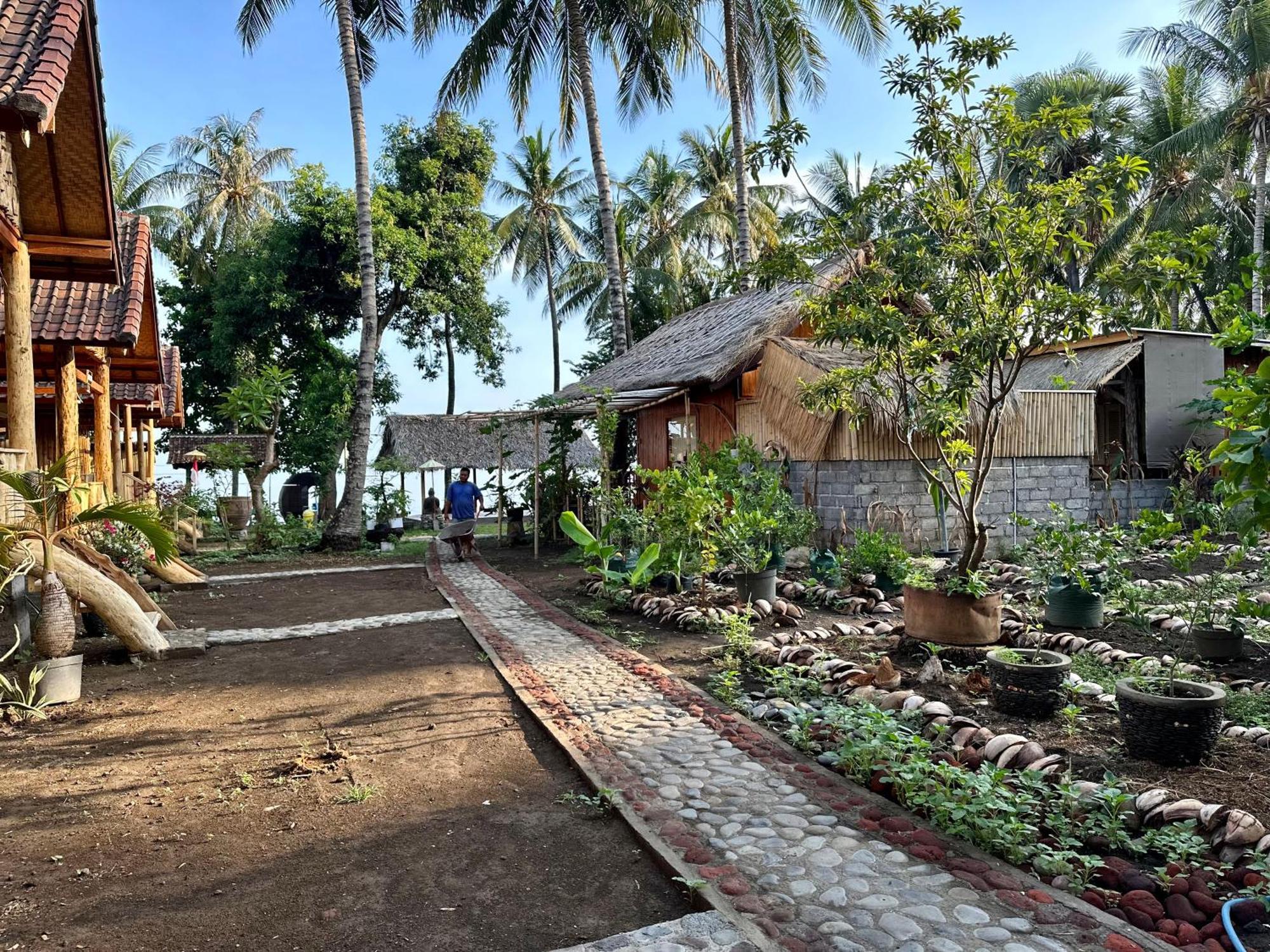 Kura Kura Beach Tejakula Luaran gambar